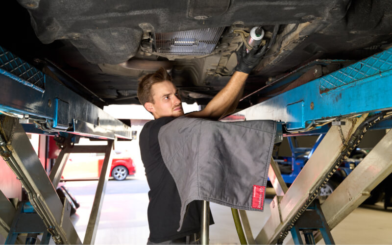 Check-up Media Mewa Multitex