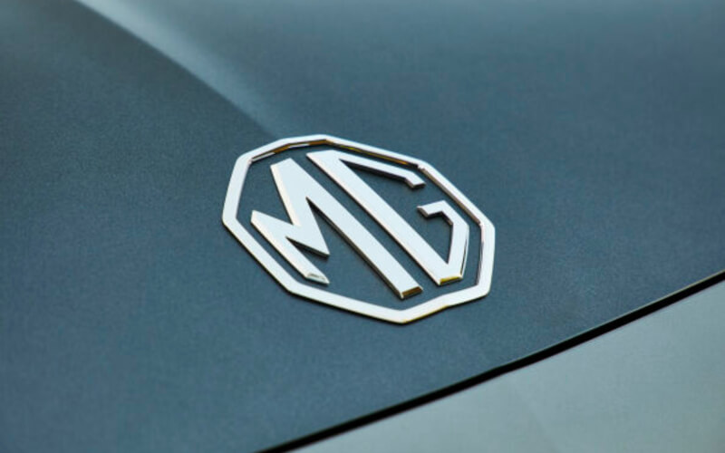 Check-up Media MG logo