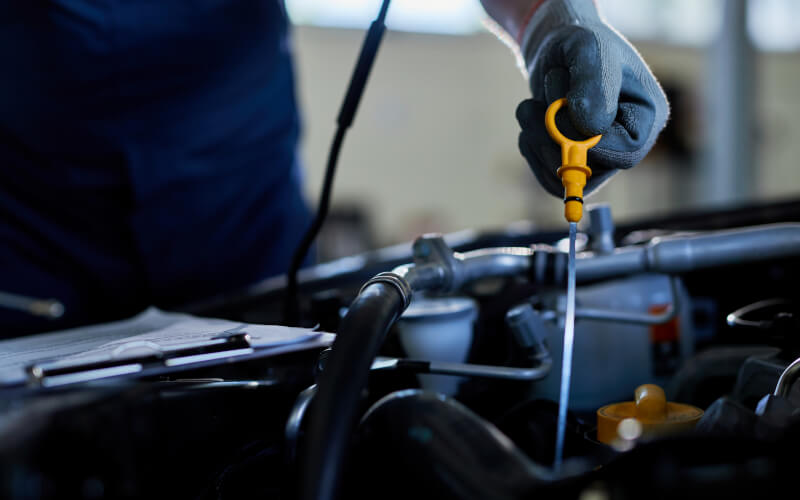 Check-up Media oil change