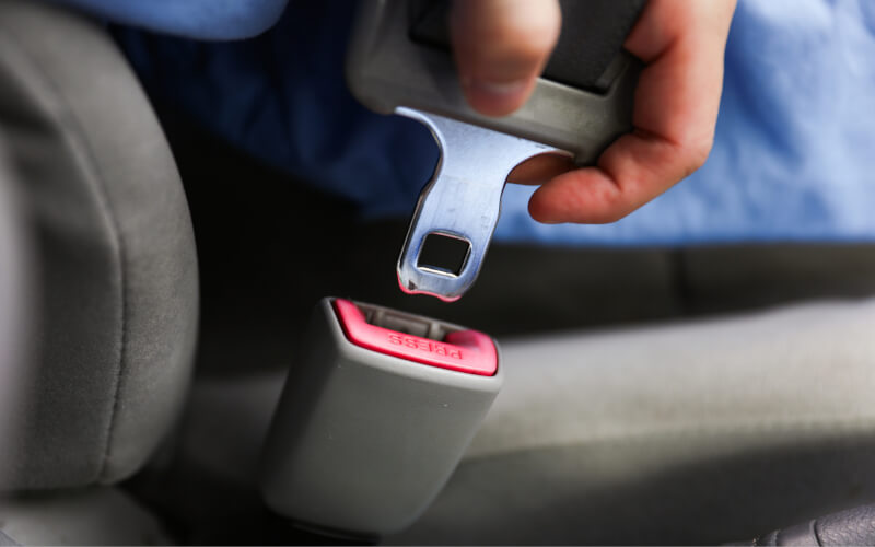 Check-up Media seatbelt