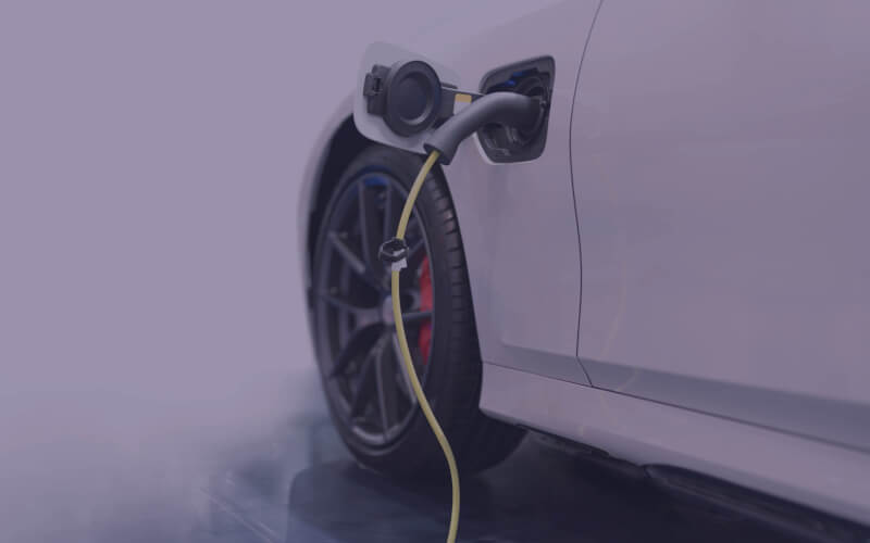 Check-up Media Sidem Tesla