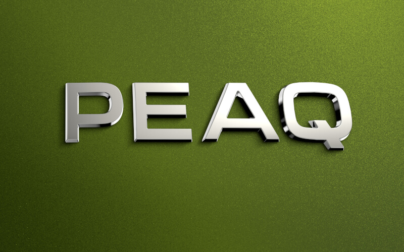 Check-up Media Škoda Peaq