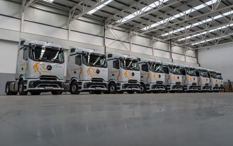 Check-up Media Soc. Com. C. Santos Torrestir