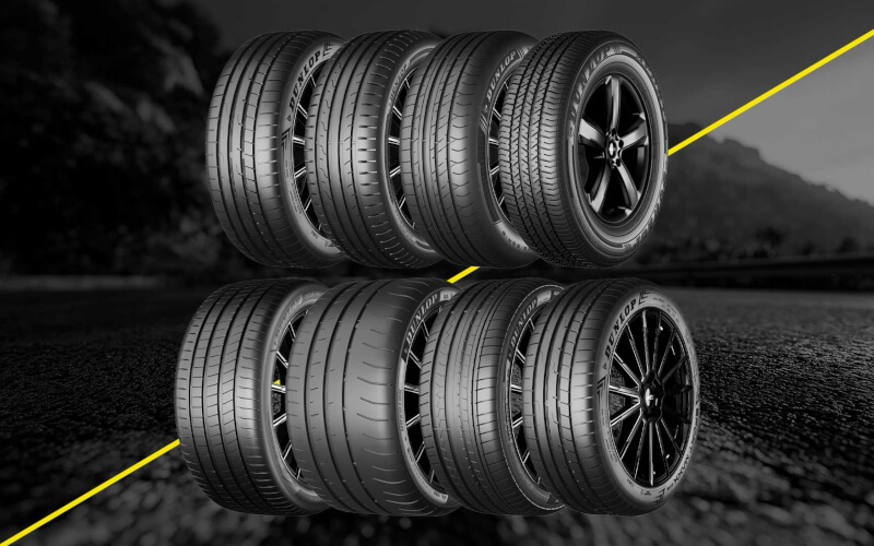 Check-up Media summer lineup