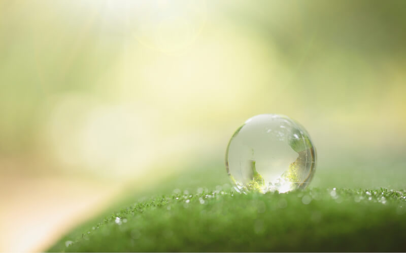 Check-up Media sustainability