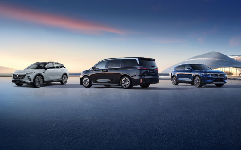 Check-up Media VOYAH range