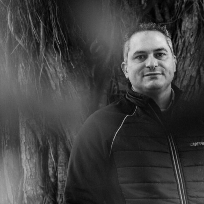 Check-up Media Bruno Fonseca tree